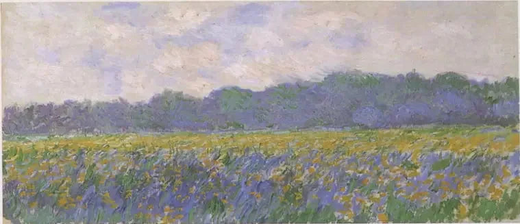 Pole żółtych irysów w Giverny - Claude Monet