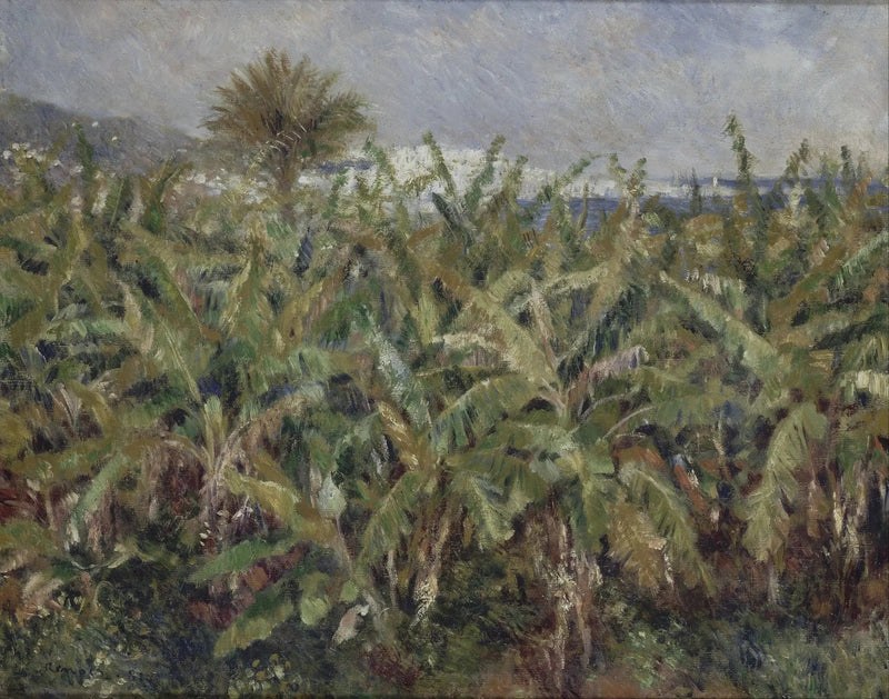 pole bananów - Pierre-Auguste Renoir