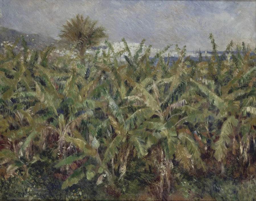 pole bananów - Pierre-Auguste Renoir