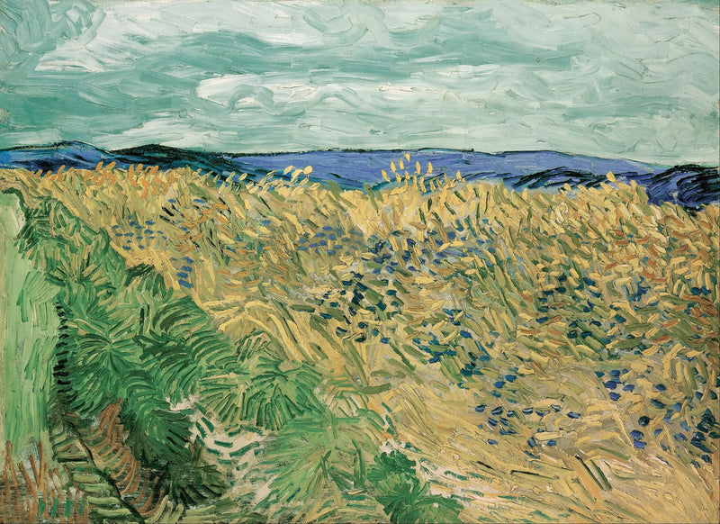 Pole pszenicy z chabrami - Vincent van Gogh