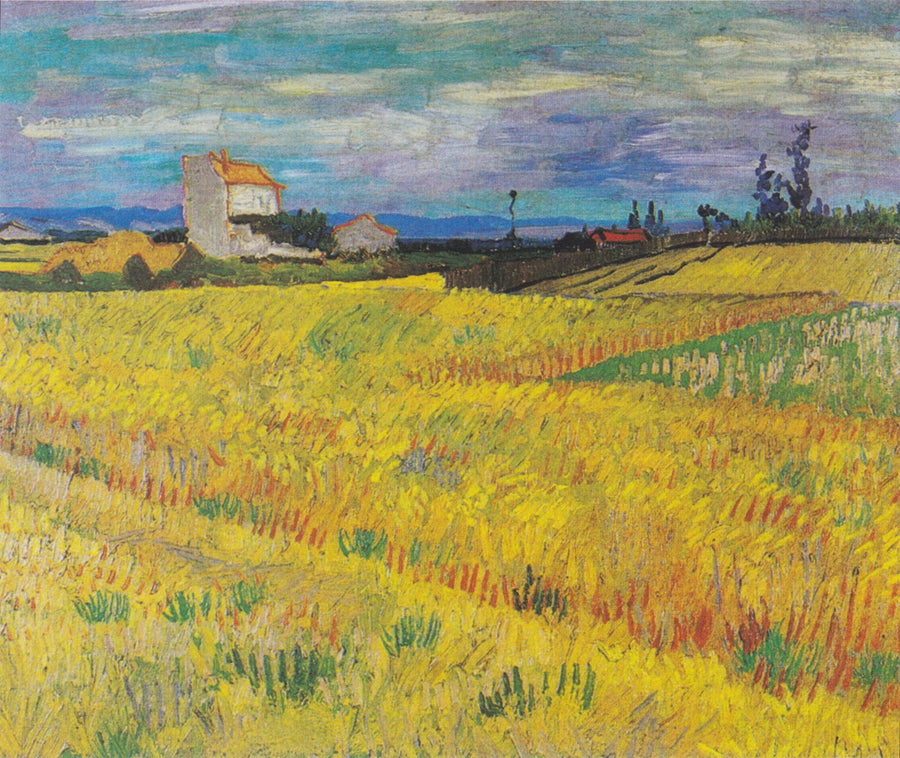Pole pszenicy - Vincent van Gogh