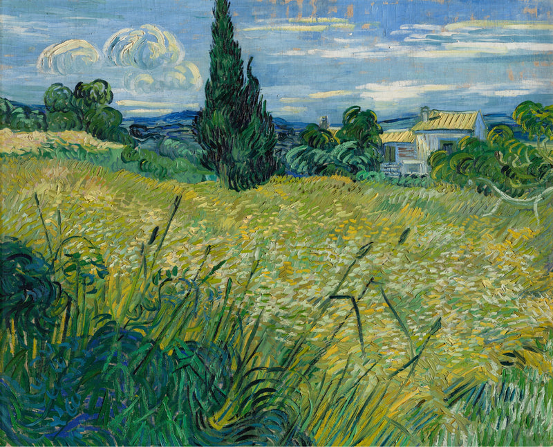 Zielone pole pszenicy z cyprysami - Vincent van Gogh
