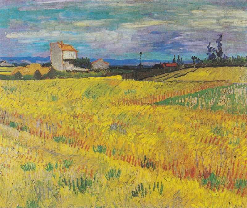 Pole pszenicy - Vincent van Gogh