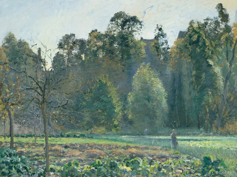 Pole kapusty, Pontoise - Camille Pissarro