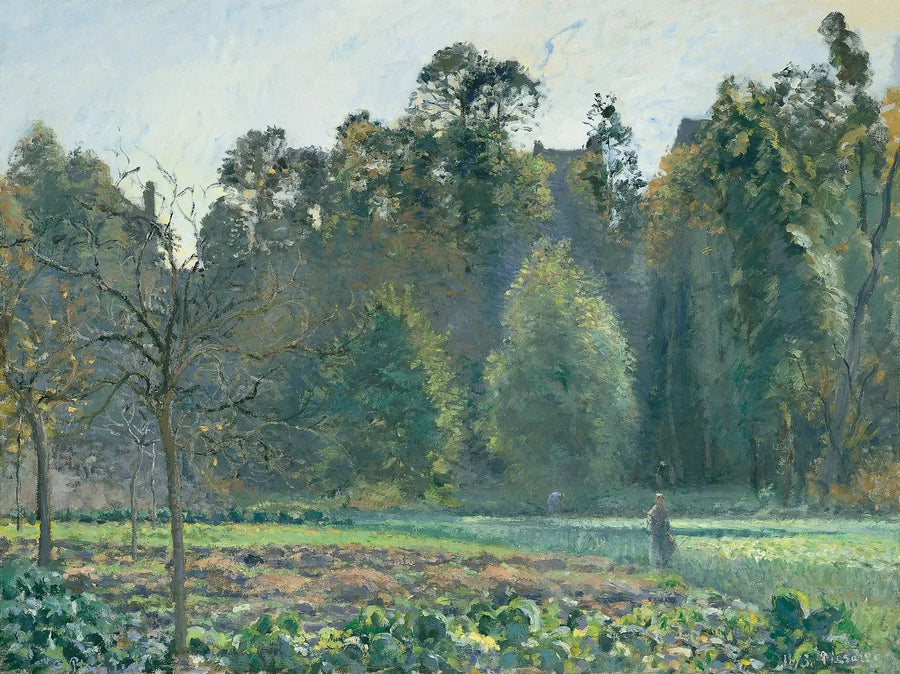 Pole kapusty, Pontoise - Camille Pissarro