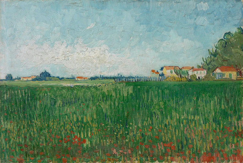 Pole maków - Vincent van Gogh
