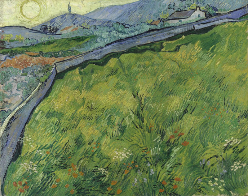 Pole pszenicy wiosennej o wschodzie słońca - Vincent van Gogh