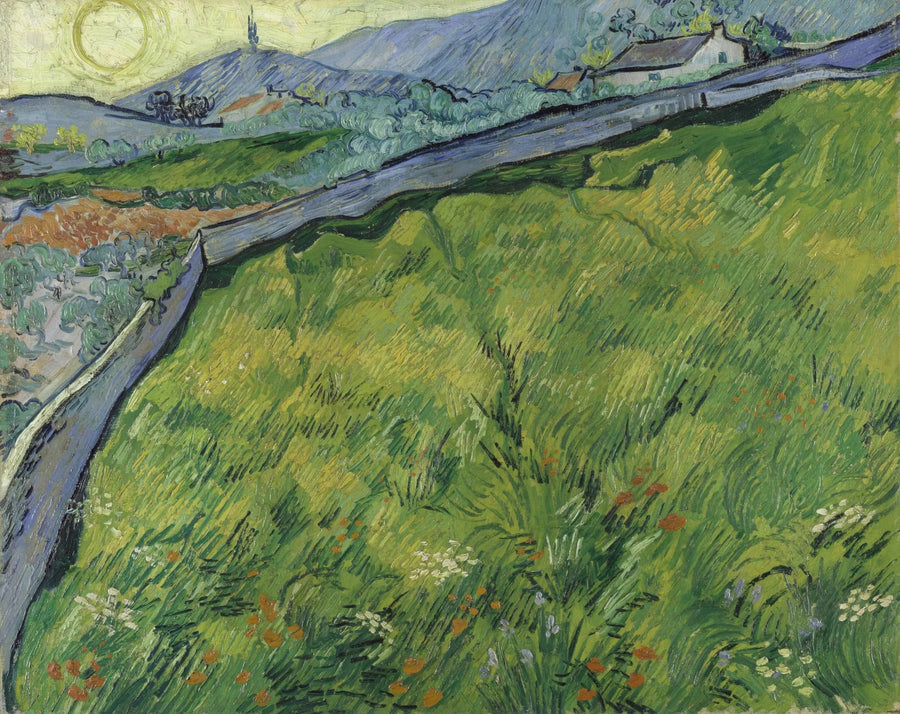 Pole pszenicy wiosennej o wschodzie słońca - Vincent van Gogh