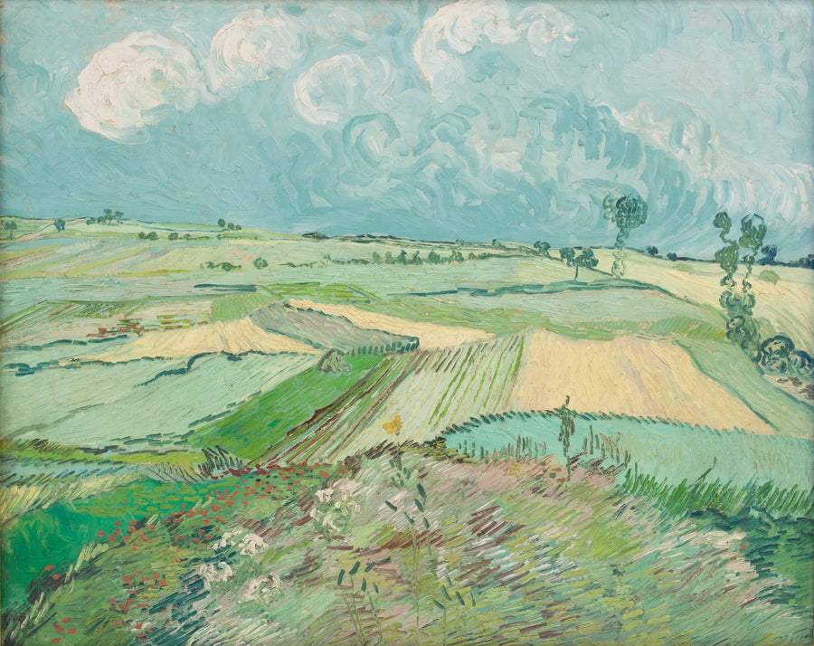 Pola pszenicy po deszczu - Vincent van Gogh