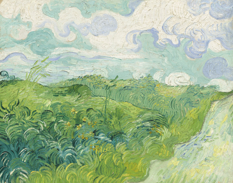 Zielone pola pszenicy, Auvers - Vincent van Gogh