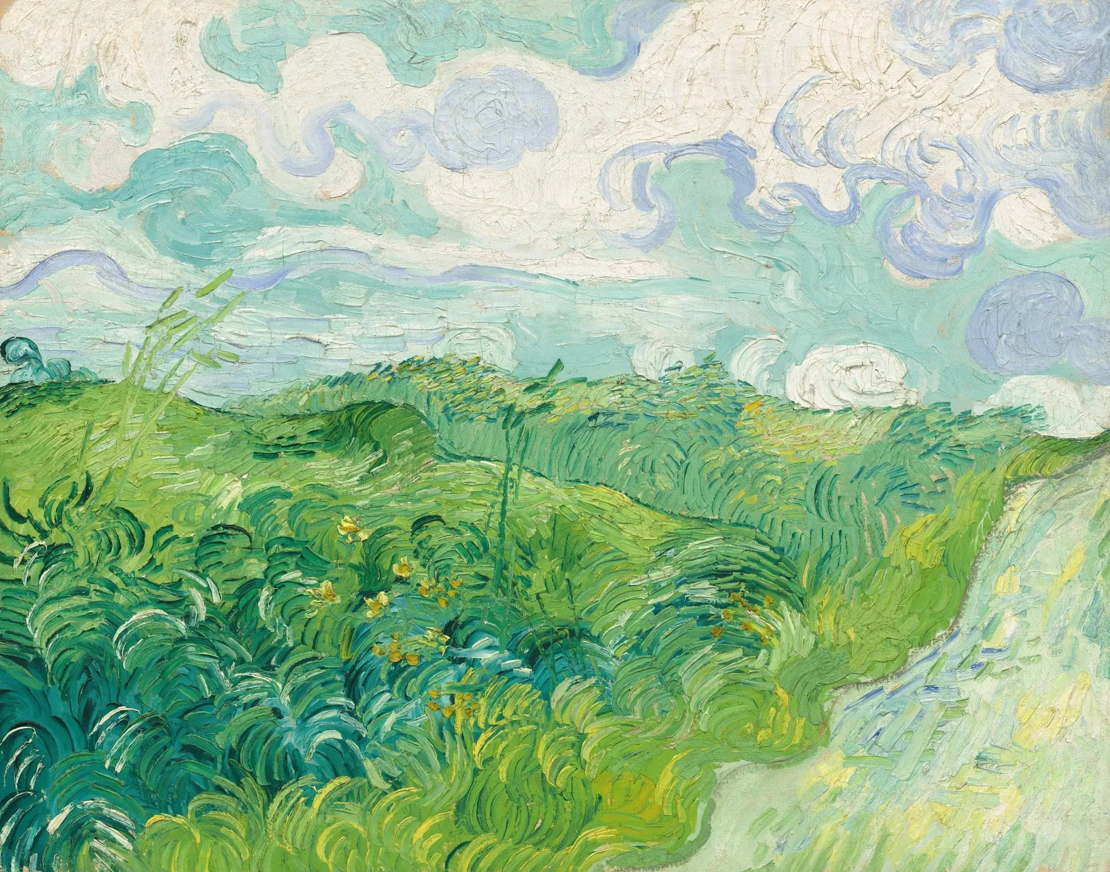 Champs de blé verts, Auvers - Vincent van Gogh image 1 reproduction de peinture à l’huile