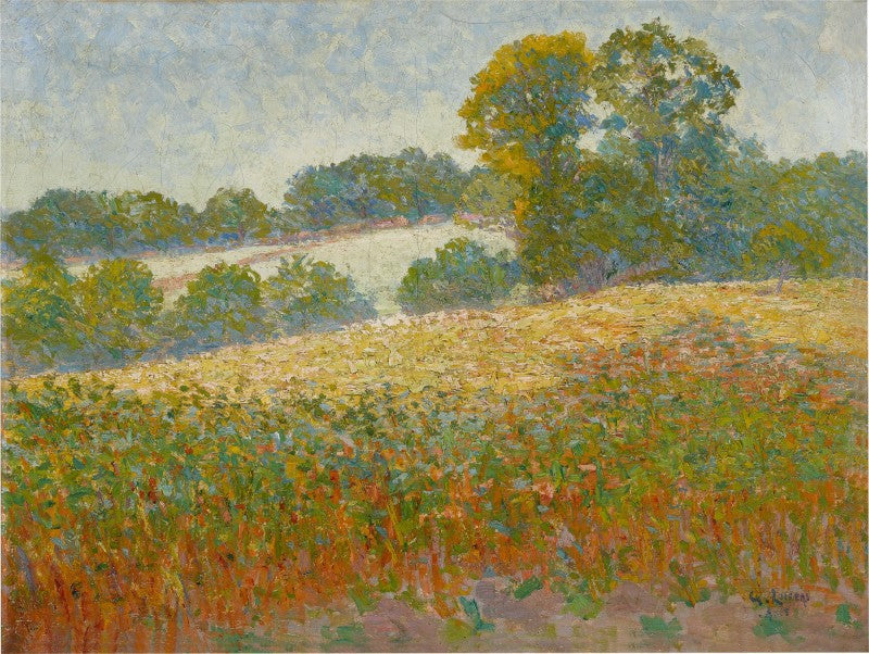 Pole kwiatów - Gustave Loiseau