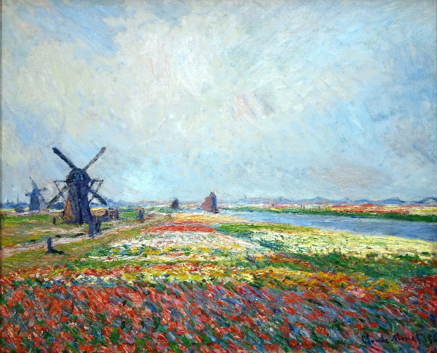 Pola tulipanów w pobliżu Hagi - Claude Monet