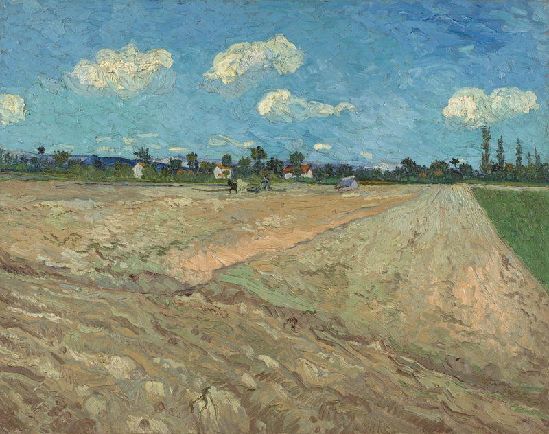 Orki pola - Vincent van Gogh