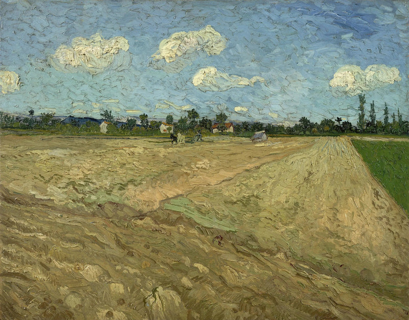 Orki pola - Vincent van Gogh