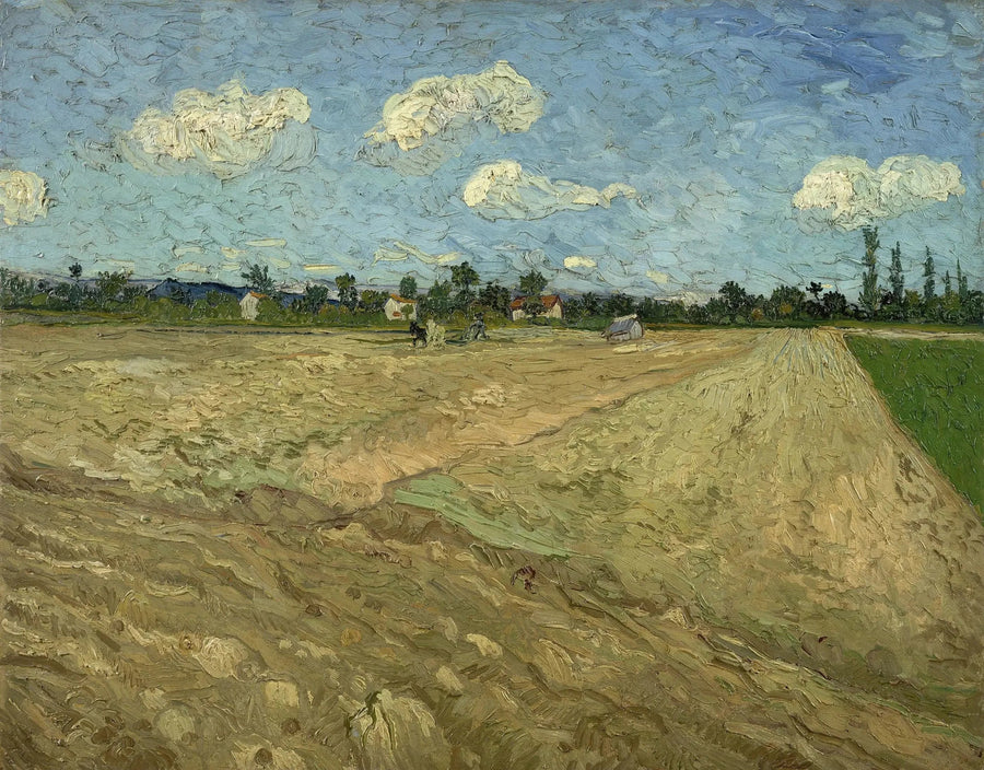 Orki pola - Vincent van Gogh