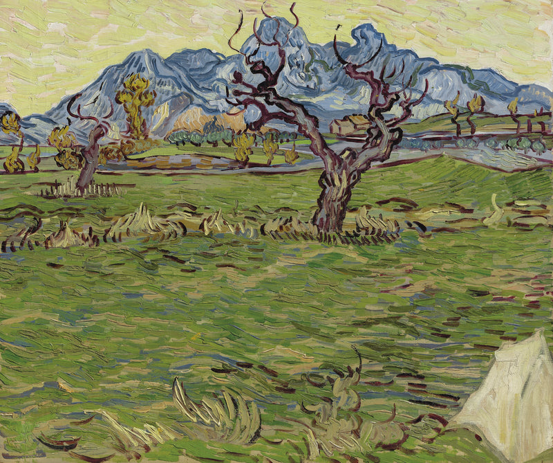 Pola w pobliżu Alpilles - Vincent van Gogh