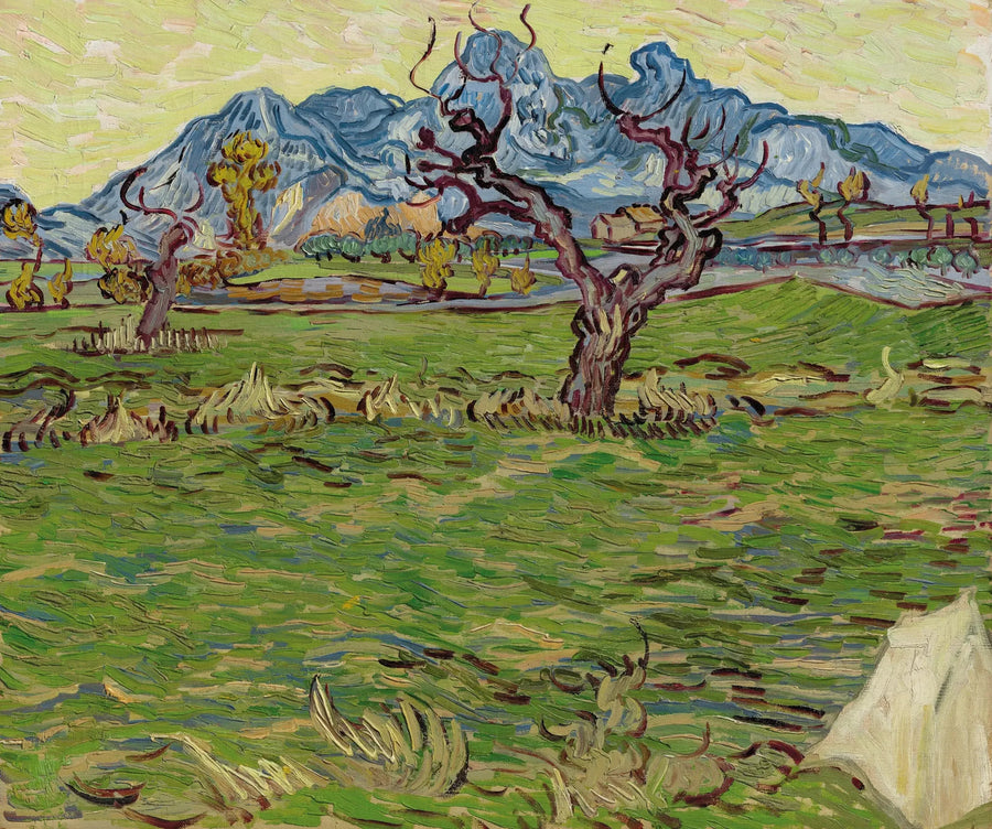 Pola w pobliżu Alpilles - Vincent van Gogh
