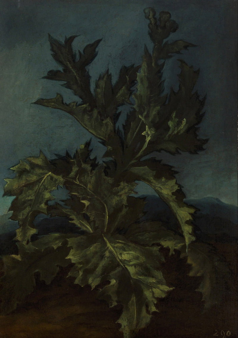 Chardon - Carlo Dolci