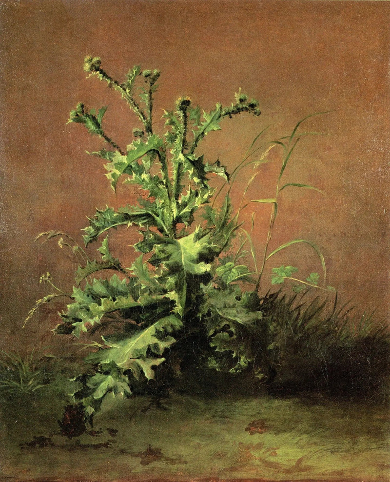 Chardony - Édouard Manet