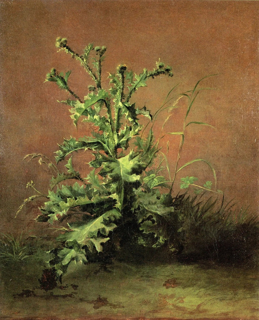 Chardony - Édouard Manet