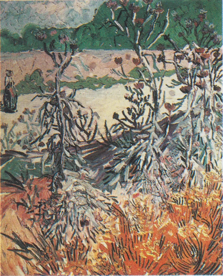 Chardony - Vincent van Gogh