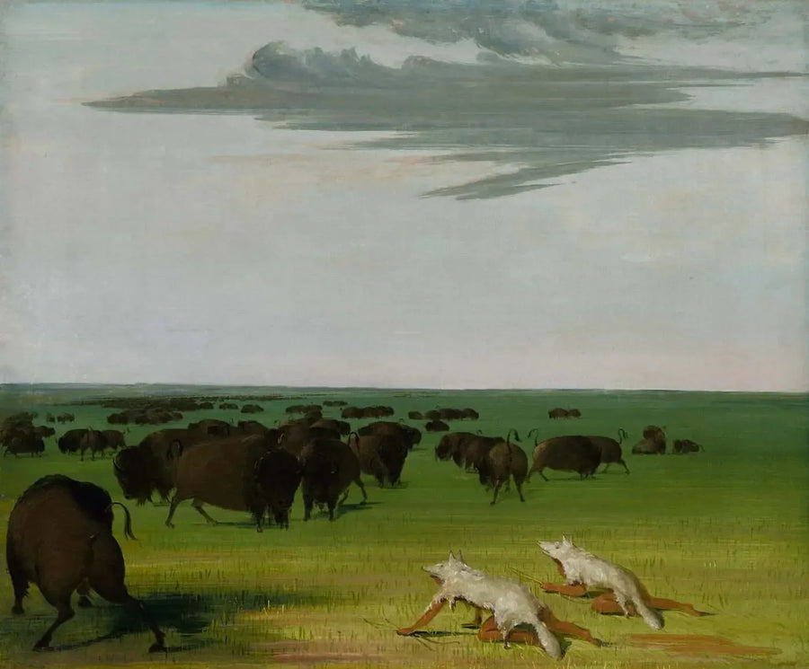 Polowanie na bizona pod maską z wilczej skóry - George Catlin