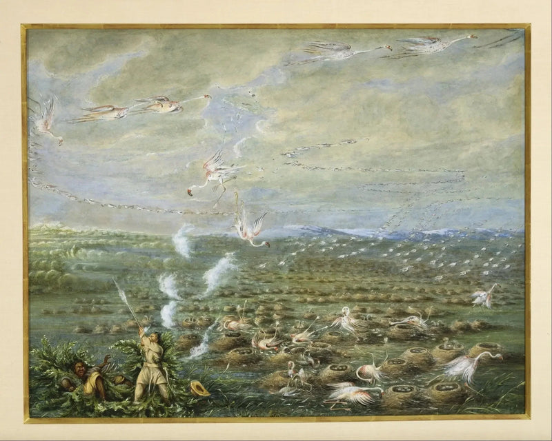 Polowanie na flamingi w Ameryce Południowej - George Catlin