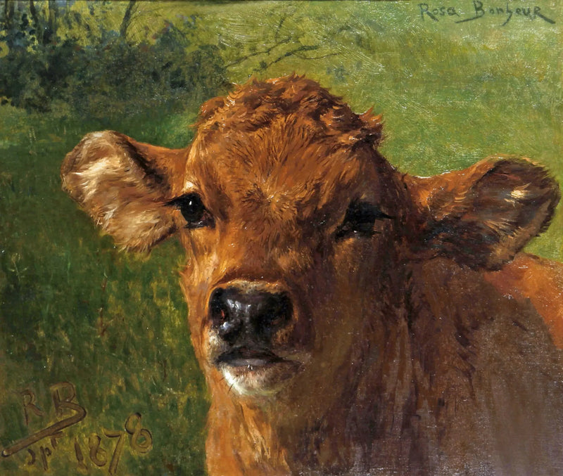 Szef cielęciny - Rosa Bonheur