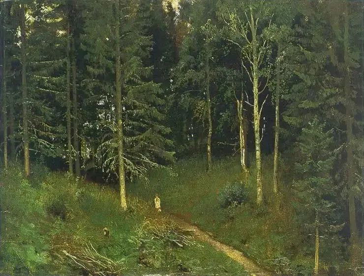Ścieżka w lesie (las świerkowy) - Ivan Chichkine