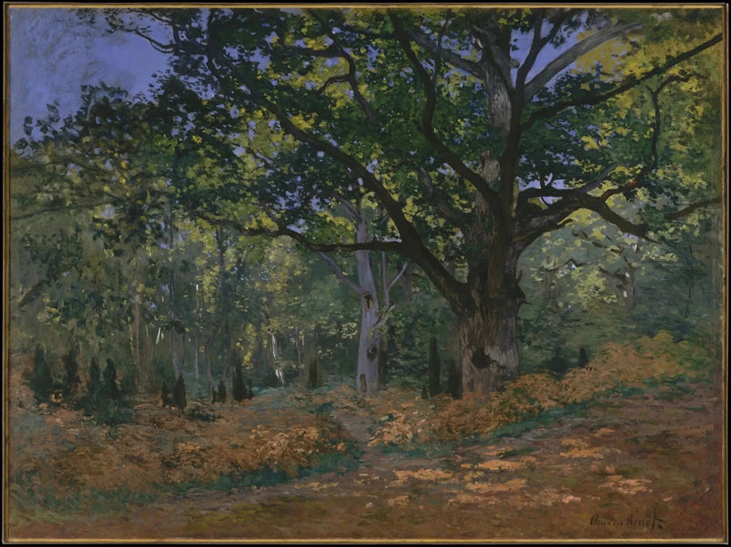 Dąb Bodmer, las Fontainebleau W60 - Claude Monet