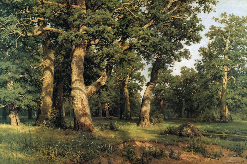 Dąb Grove - Ivan Chichkine