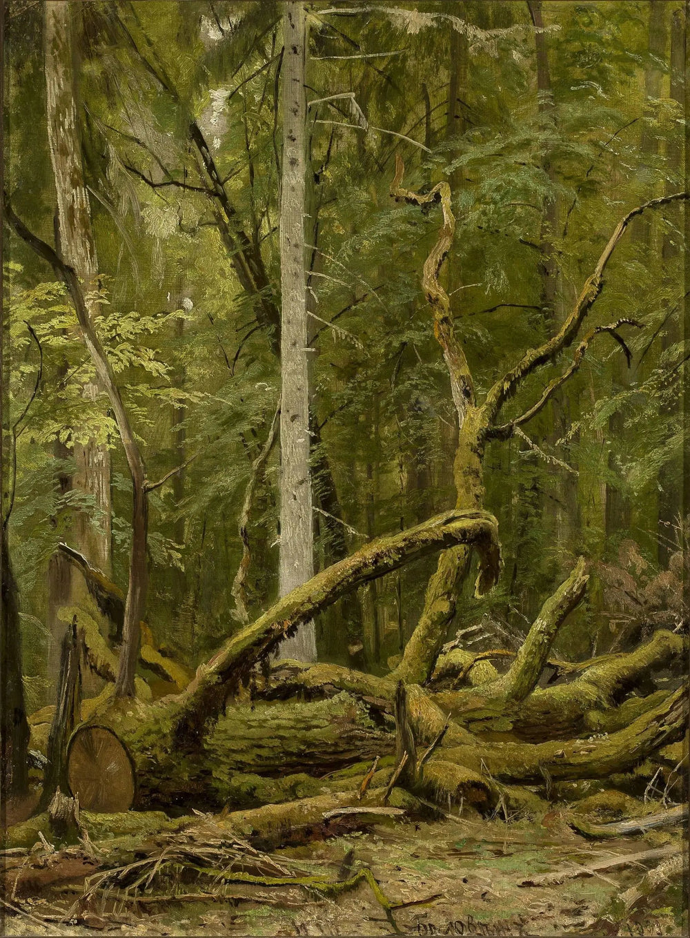 Chêne scié - Ivan Chichkine - Alpha Reproduction