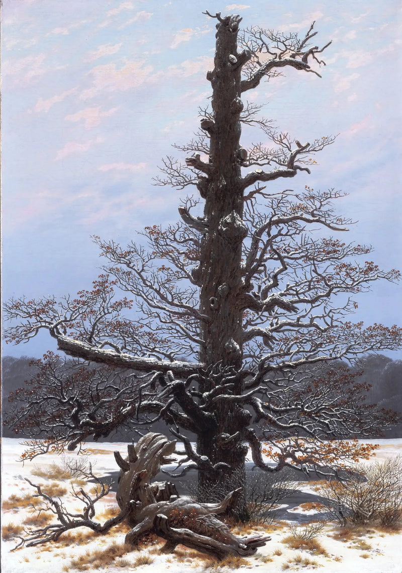 Dąb pod śniegiem - Caspar David Friedrich