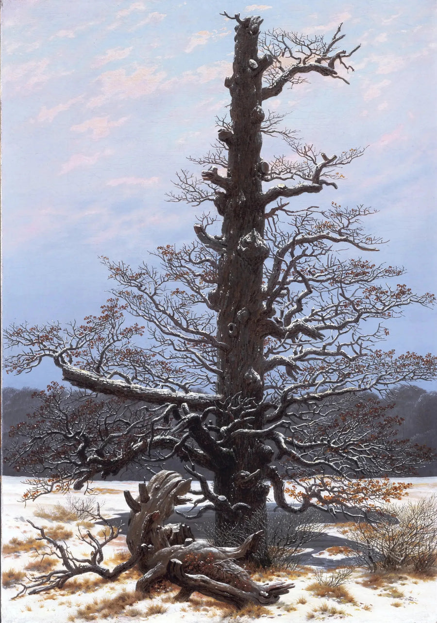 Dąb pod śniegiem - Caspar David Friedrich