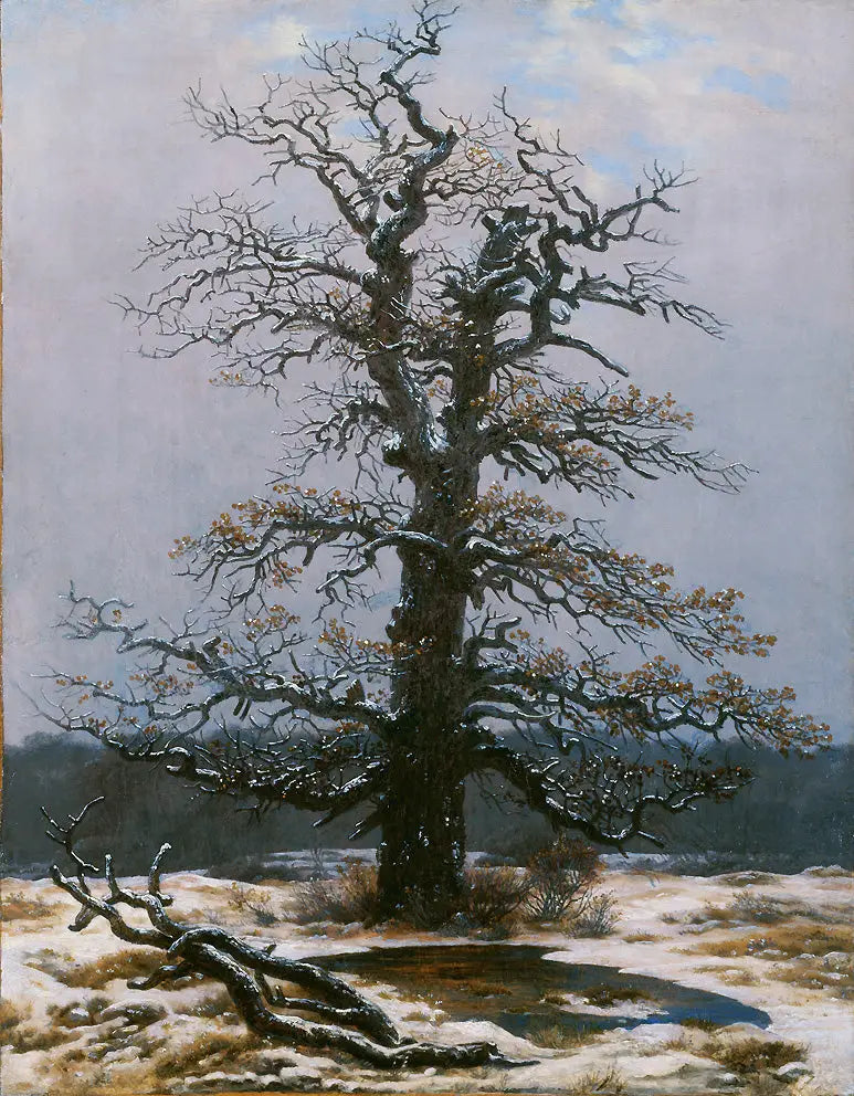 Dąb pod śniegiem - Caspar David Friedrich