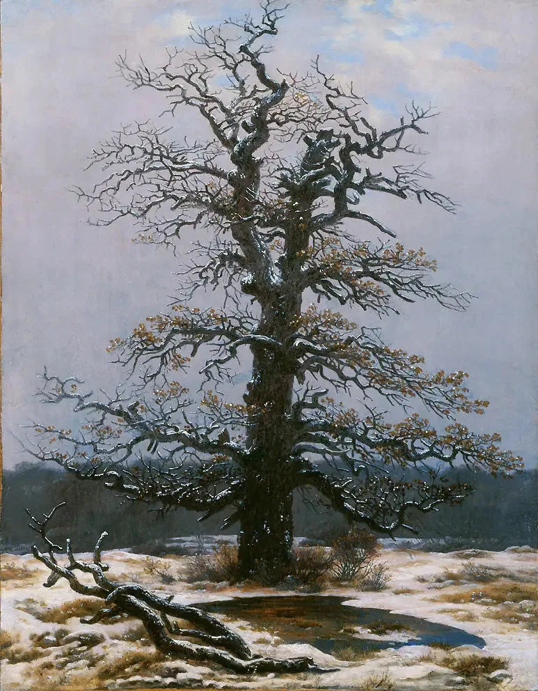 Dąb pod śniegiem - Caspar David Friedrich
