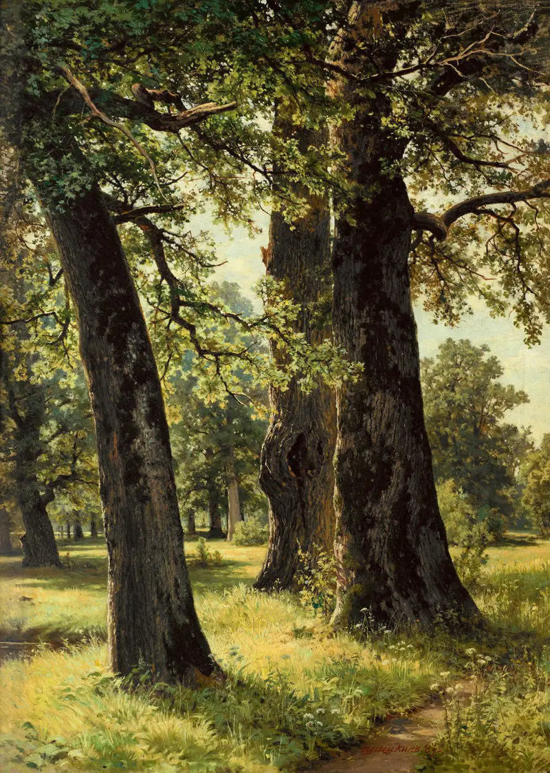 Dęby - Ivan Chichkine