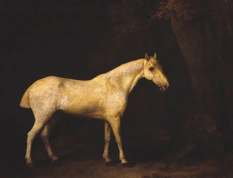 Koń w cieniu lasu - George Stubbs