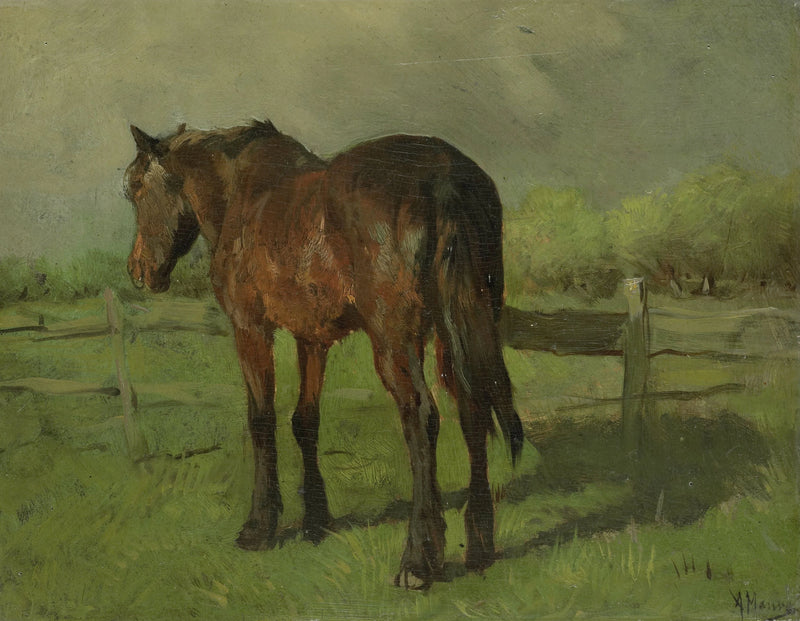 Cheval - Anton Mauve