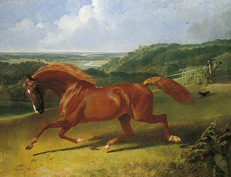 Koń galopujący po polu - John Frederick Herring, Sr.
