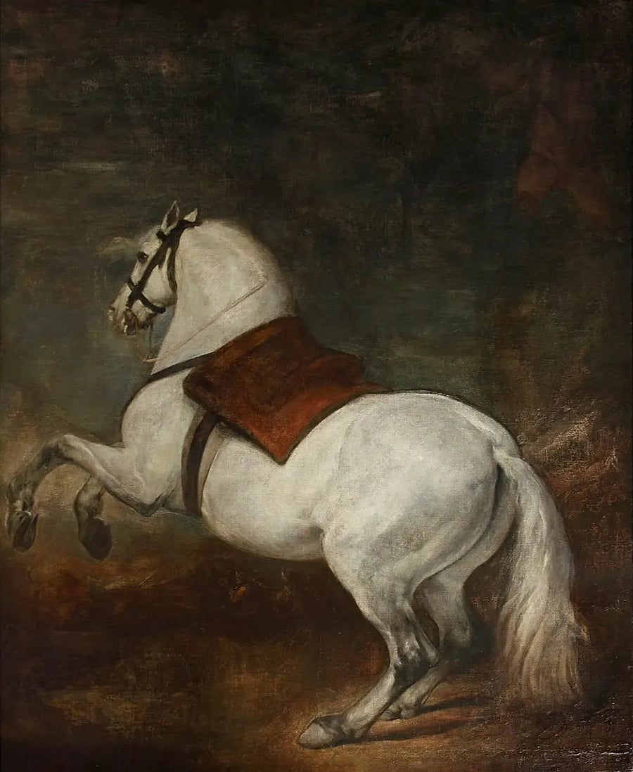 Biały koń - Diego Velázquez
