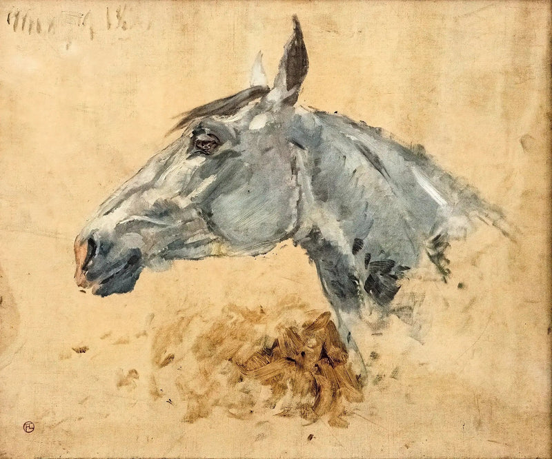 Biały koń Gazela - Henri de Toulouse-Lautrec