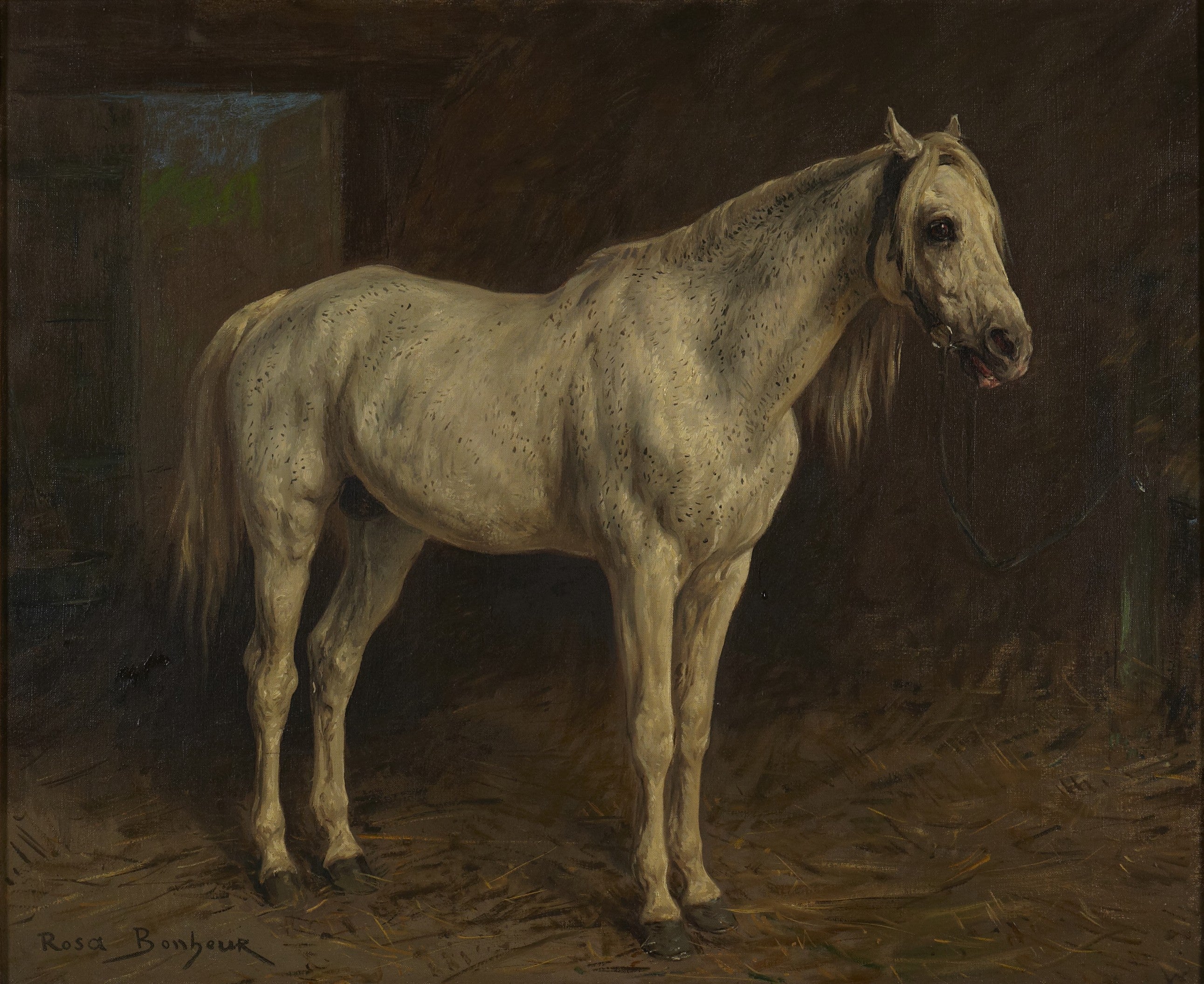 Cheval Blanc - Rosa Bonheur - Alpha Reproduction