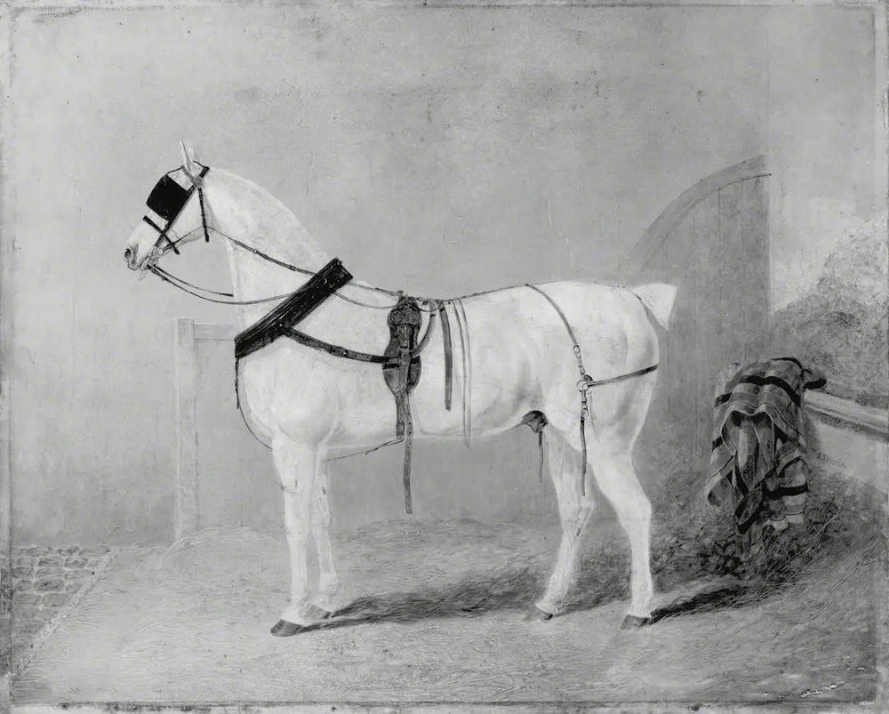 Cheval de calèche dans une écurie - John Frederick Herring Sr. - Alpha Reproduction