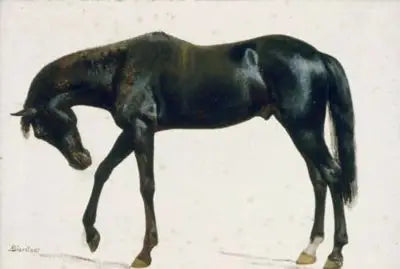 Czarny koń - Albert Bierstadt