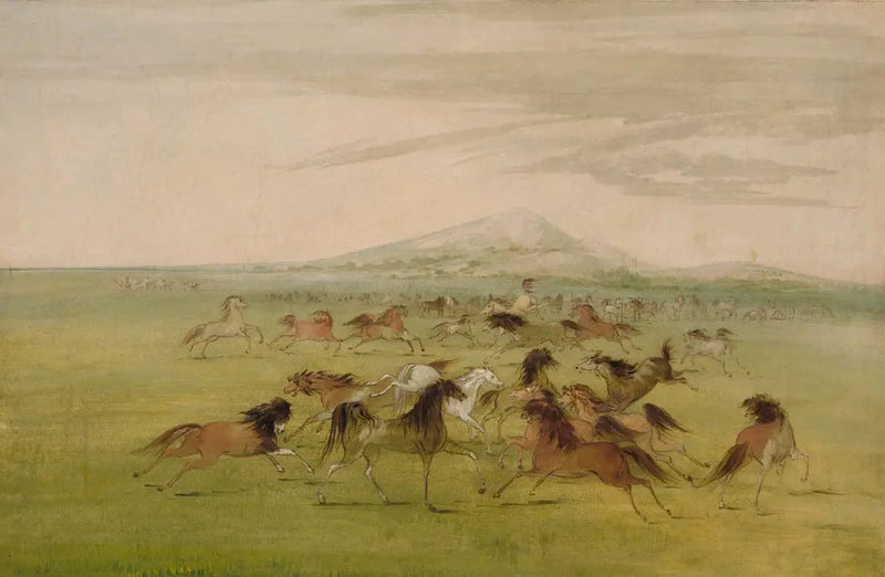 Dzikości konie w grze - George Catlin