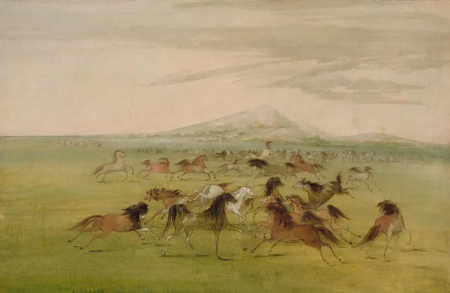 Dzikości konie w grze - George Catlin