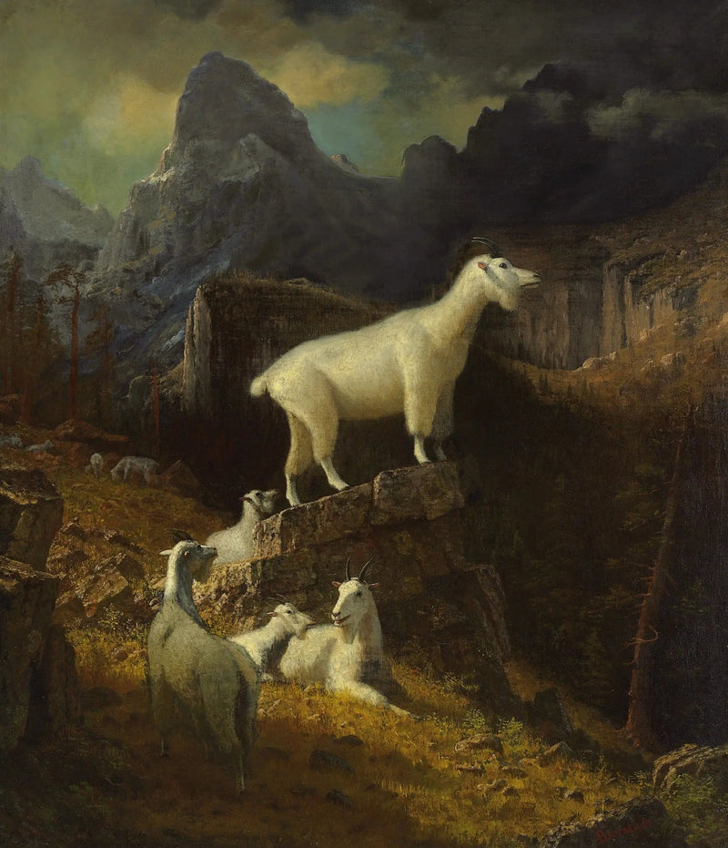 Kozy z Gór Skalistych - Albert Bierstadt