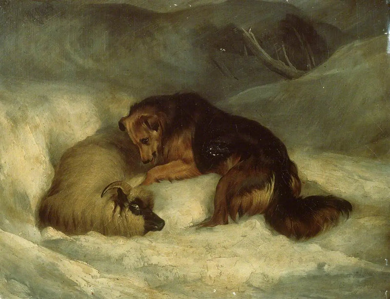 Owczarek Highland w śniegu (dawniej znany jako „Owczarek ratujący barana z zaspy”) - Edwin Henry Landseer